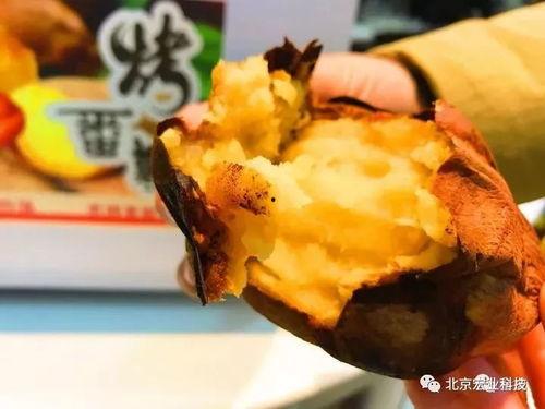 太原金虎最新爆料,揭秘金虎集团全新战略布局与市场动向 第1张 太原金虎最新爆料,揭秘金虎集团全新战略布局与市场动向 第1张